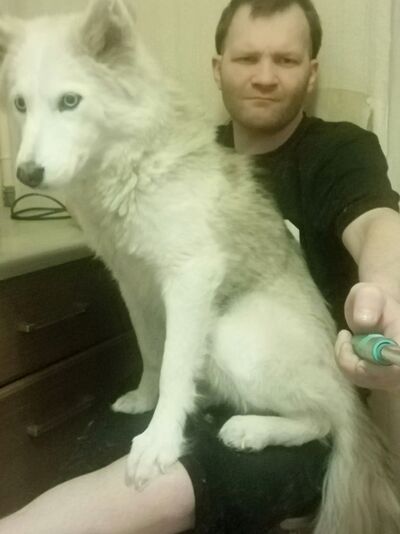  ,   , 37 ,     , c , 