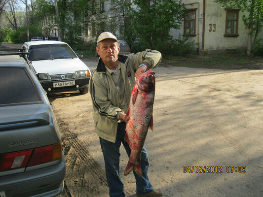  ,   , 74 ,  
