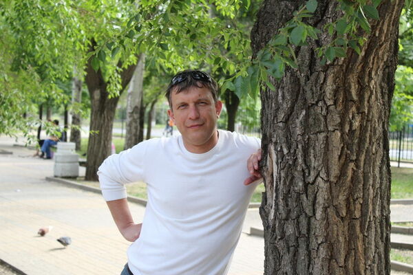  --,   , 51 ,   ,   , c 