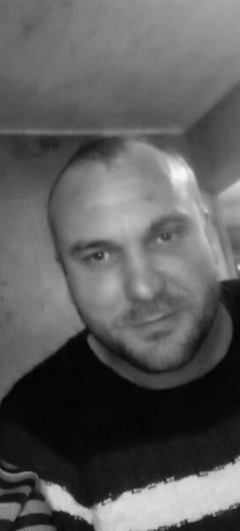 -,    , 43 ,   