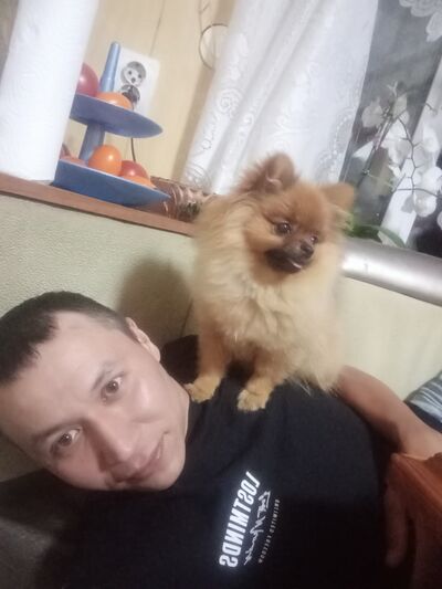  ,   , 40 ,   ,   , 