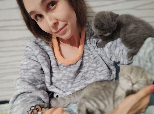  ,   Anastezia, 29 ,     , c 