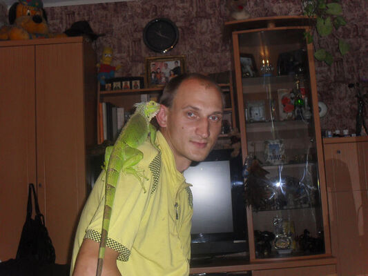  ,   , 40 ,   ,   , 