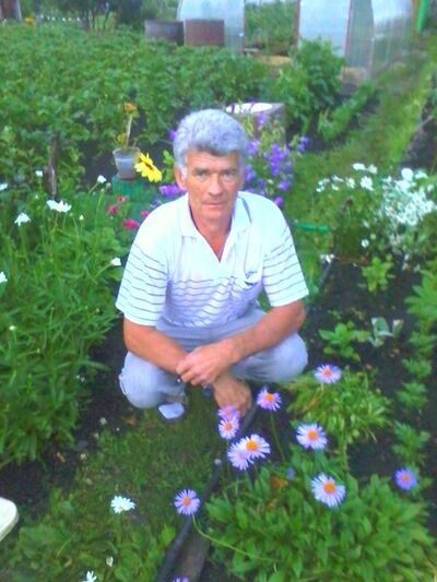  ,   , 67 ,   