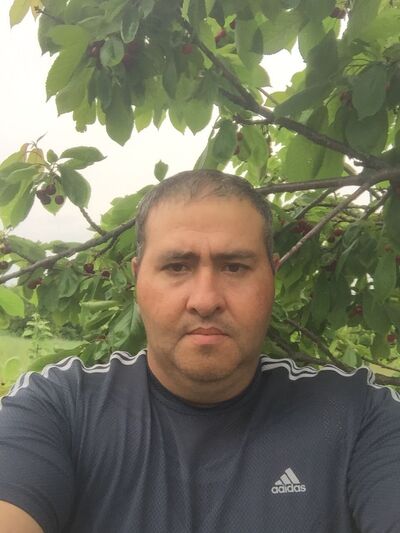  ,   , 46 ,   ,   