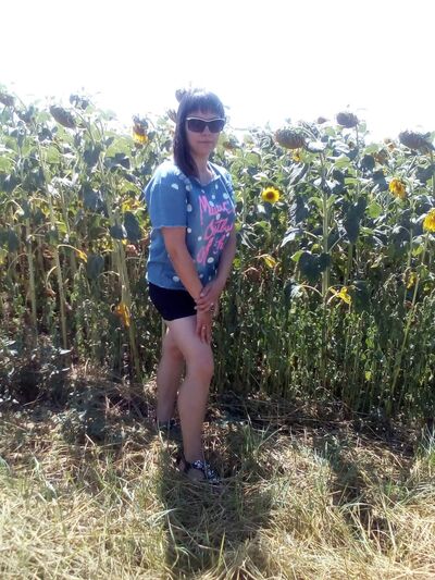  ,   , 36 ,   c , 
