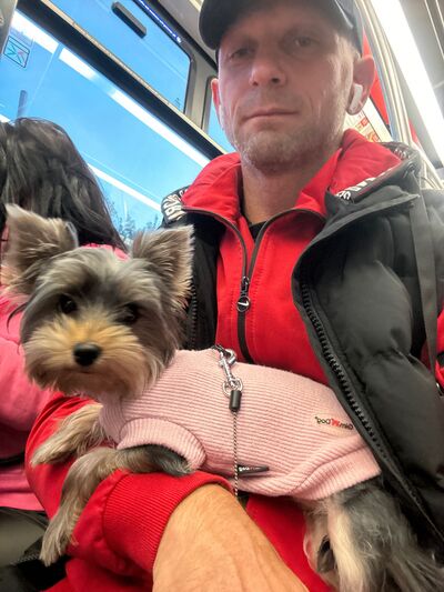  Praha,   , 41 ,   ,   , 