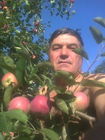  ,   , 72 ,   ,   , c 