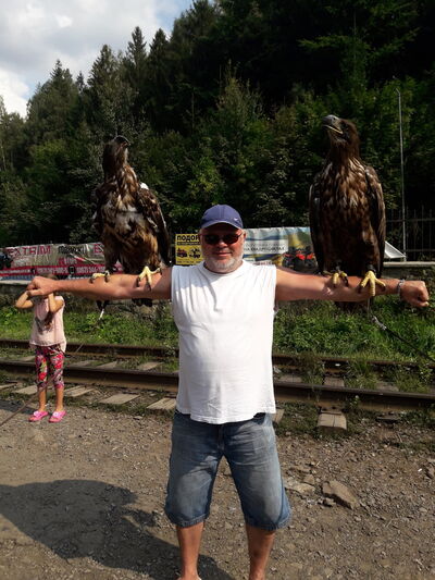  ,   , 56 ,   