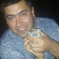  ,   Samir, 37 ,   ,   , c 