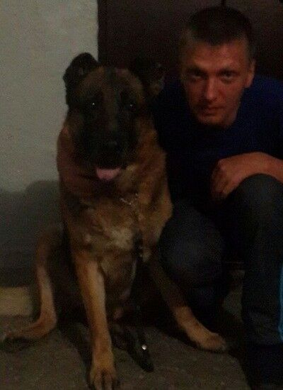 ���������� �����������, ���� ������� ����, 43 ����, ������������ ��� ������, ����� � ���������, c�������� ���������