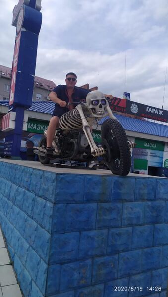  ,   Vladimirvir, 51 ,   ,   