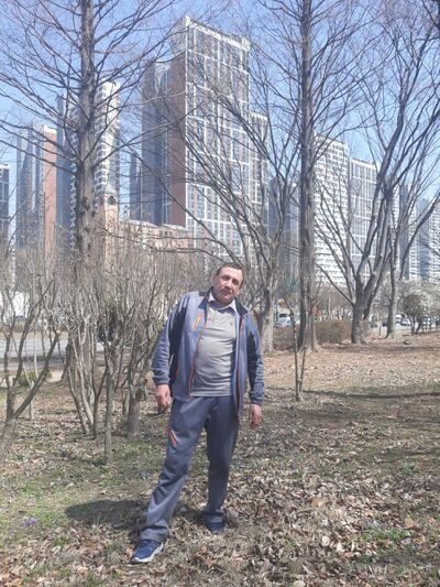  -,   , 55 ,   ,   