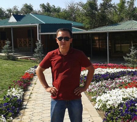  ,   Fox, 40 ,  