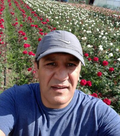  ,   Ashur, 41 ,   ,   