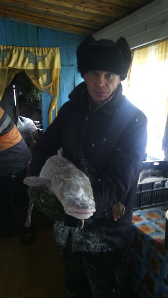  ,   , 52 ,   ,   , c 