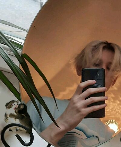  ,   , 22 ,   ,   , 