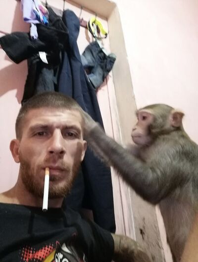  ,   , 40 ,   