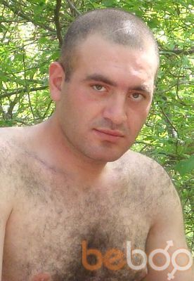  2272301  Sash, 41 ,    