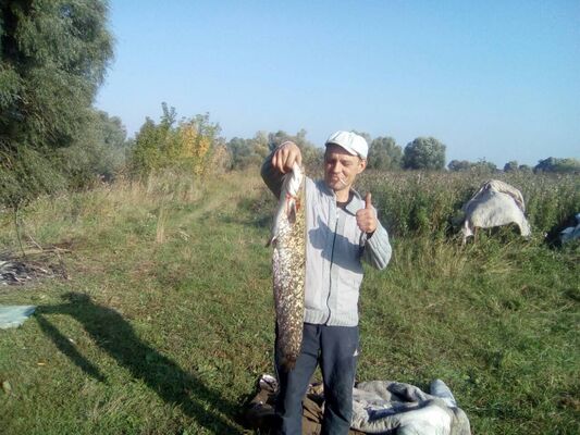  ,   Adcd, 48 ,   ,   