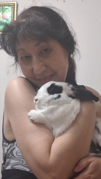  ,   , 54 ,   ,   