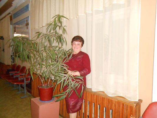  ,   , 57 ,     , c 