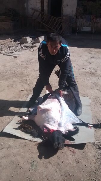  ,   HURSHIDJON, 45 ,  