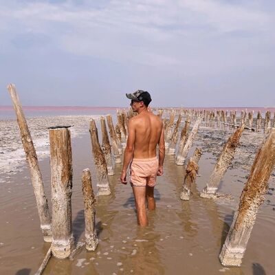  -,   , 36 ,     , c 