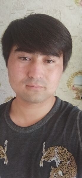  ,   Bahodir, 25 ,   ,   