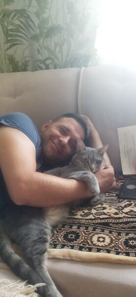  ,   , 29 ,   c 