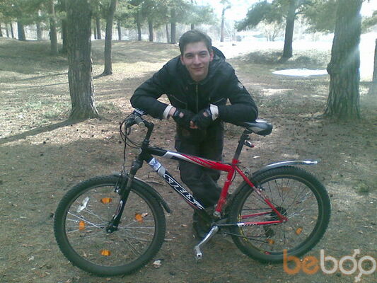   ,   , 33 ,  