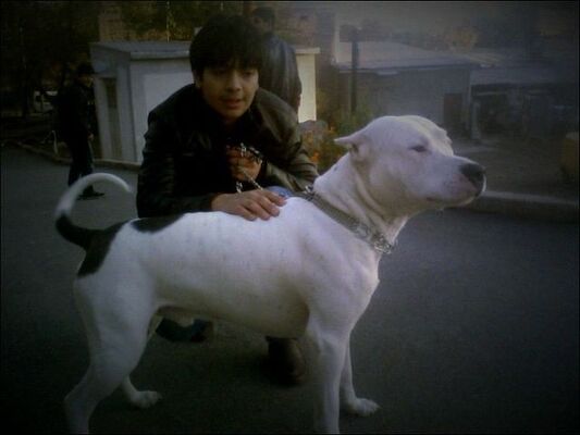  ,   Sahakyan, 31 ,   ,   , c 