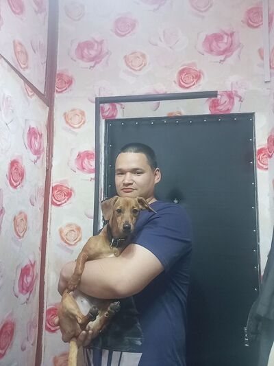  ,   Alexander, 34 ,     , c 