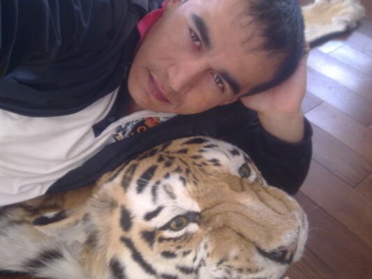  -,   , 31 ,   ,   , c 
