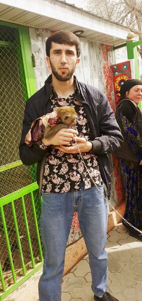  ,   , 30 ,   ,   , c , 