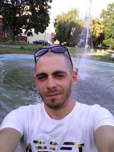  Tczew,   Black fox, 31 ,     , c 