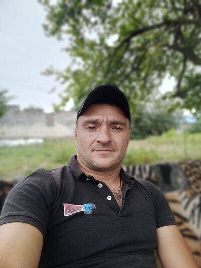  Alba Iulia,   , 41 ,   ,   