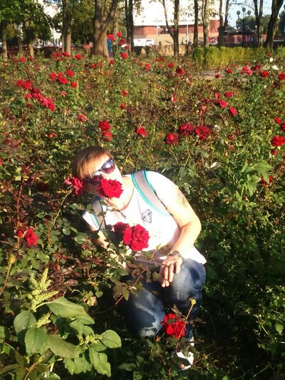  ,   Sany, 43 ,   ,   , c 