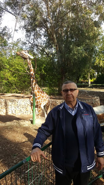  ,   Ilie, 71 ,   ,   