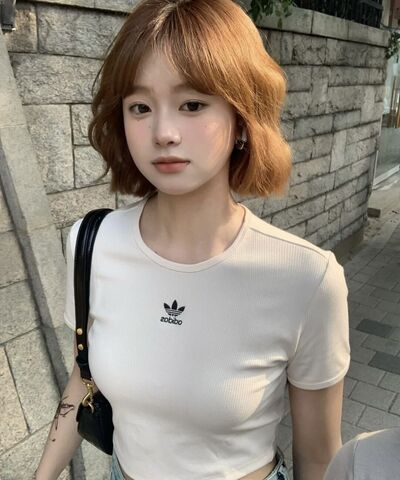  -,   , 23 ,   , 