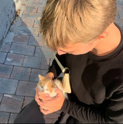  ,   Skordg, 20 ,   ,   