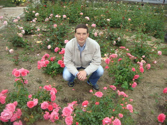  ,   , 40 ,   ,   , c , 