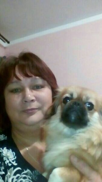  ,   , 54 ,  