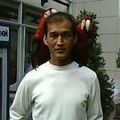 -,   , 51 ,   c 