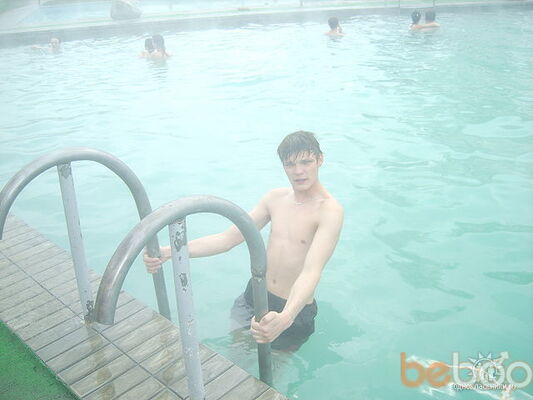  ,   Shark, 36 ,     , c 