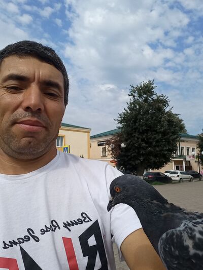  ,   GShF, 44 ,   ,   