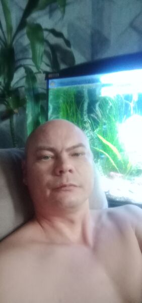  ,   Vladimir, 44 ,   ,   , c 