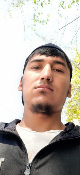  ,   Kadridin, 28 ,   ,   , c , 