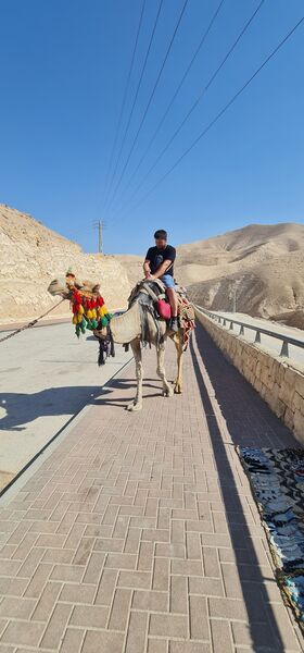  Ashqelon,   , 41 ,   ,   , c 