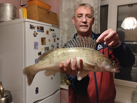  ,   , 54 ,   ,   , c , 